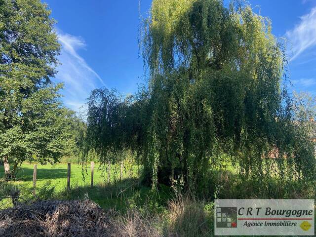 Vente Maison maison individuelle 5 pièces 110 m² Beauvoir 89240