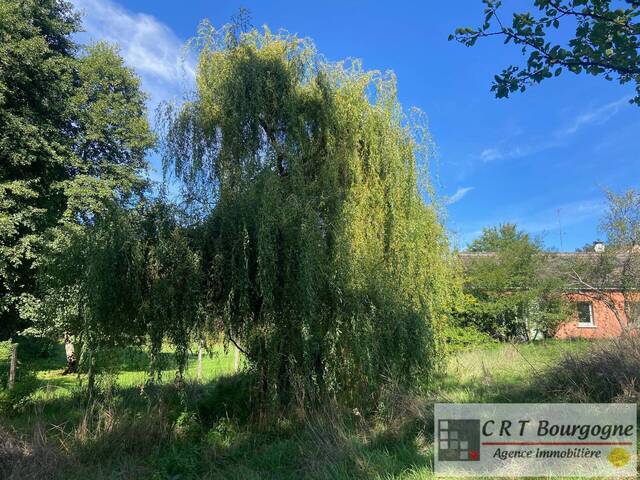 Vente Maison maison individuelle 5 pièces 110 m² Beauvoir 89240