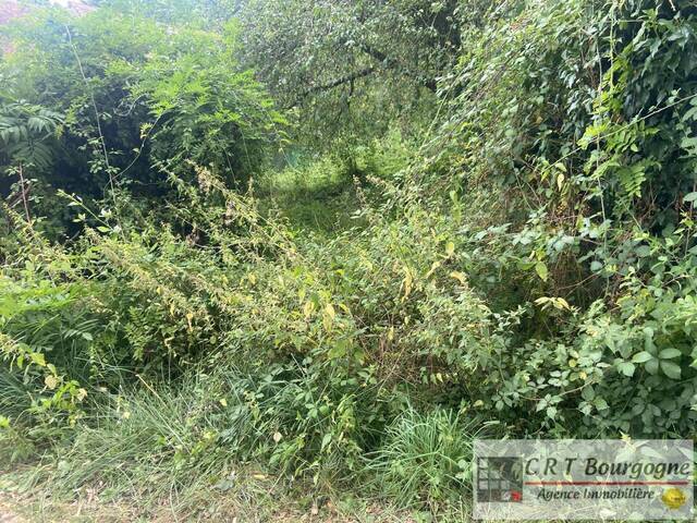 Vente Maison longère Treigny 89520