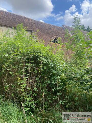 Vente Maison longère Treigny 89520