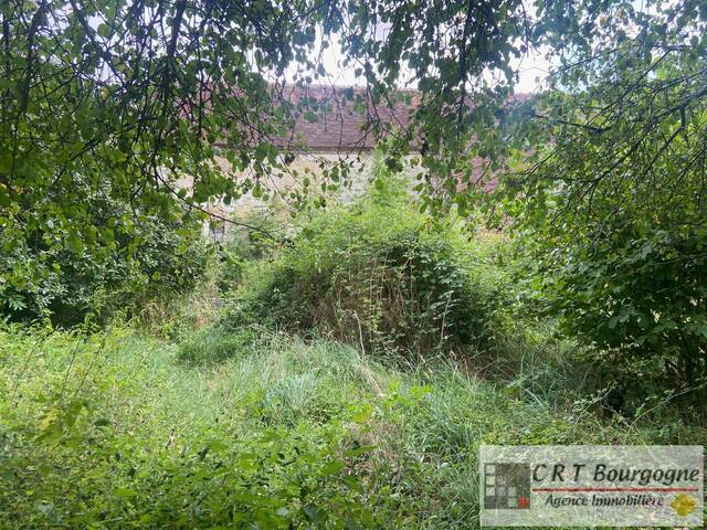 Vente Maison longère Treigny 89520