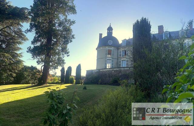 Vente Maison château 12 pièces 370 m² Toucy 89130
