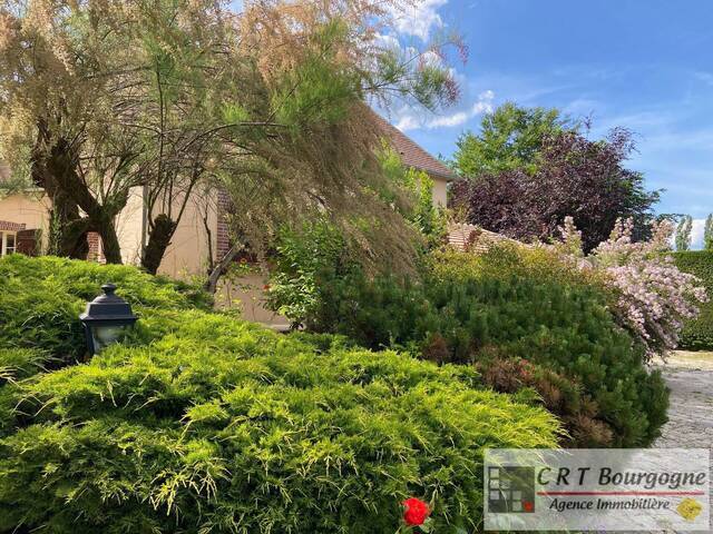 Vente Maison maison individuelle 6 pièces 151 m² Pourrain 89240