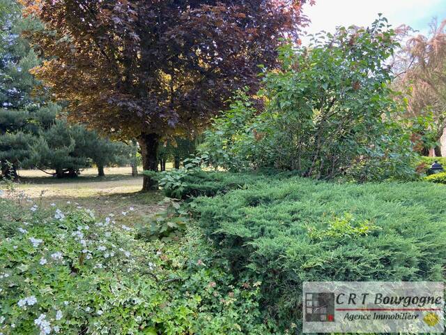 Vente Maison maison individuelle 6 pièces 151 m² Pourrain 89240