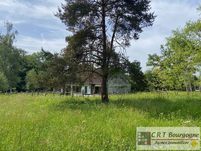 Vente Maison maison individuelle 6 pièces 104.84 m² Toucy 89130