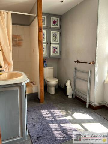 Vente Maison maison ancienne 7 pièces 215 m² Ouanne 89560
