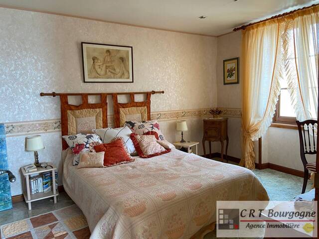 Vente Maison maison ancienne 7 pièces 215 m² Ouanne 89560