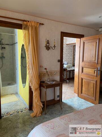 Vente Maison maison ancienne 7 pièces 215 m² Ouanne 89560