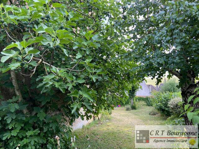 Vente Maison maison ancienne 7 pièces 215 m² Ouanne 89560