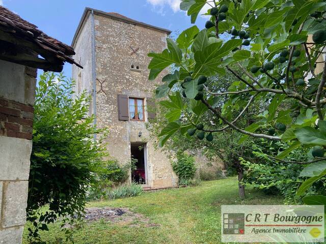 Vente Maison maison ancienne 7 pièces 215 m² Ouanne 89560
