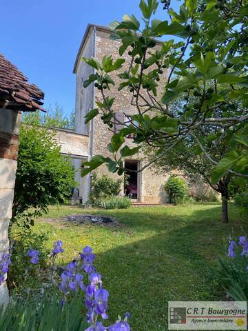Vente Maison maison ancienne 7 pièces 215 m² Ouanne 89560