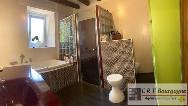 Vente Maison corps de ferme 7 pièces 223 m² Toucy 89130