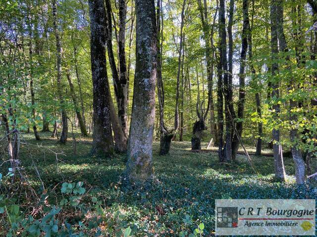 Vente Maison propriété 8 pièces 240 m² Toucy 89130