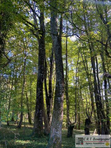 Vente Maison propriété 8 pièces 240 m² Toucy 89130