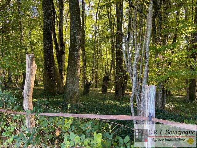 Vente Maison propriété 8 pièces 240 m² Toucy 89130