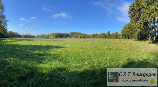 Vente Maison propriété 8 pièces 240 m² Toucy 89130