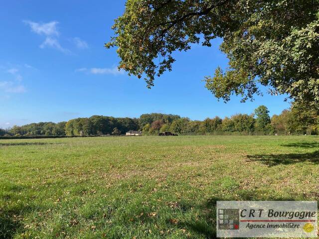 Vente Maison propriété 8 pièces 240 m² Toucy 89130