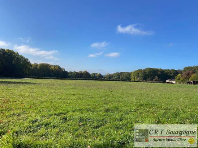 Vente Maison propriété 8 pièces 240 m² Toucy 89130