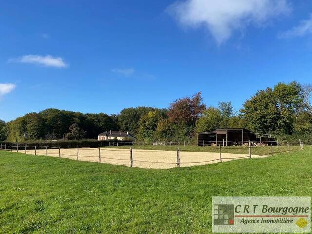 Vente Maison propriété 8 pièces 240 m² Toucy 89130