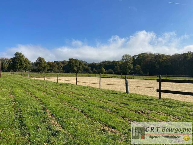 Vente Maison propriété 8 pièces 240 m² Toucy 89130