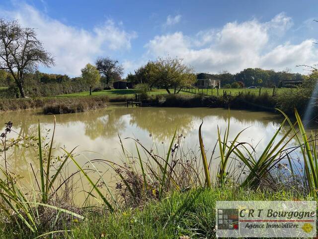 Vente Maison propriété 8 pièces 240 m² Toucy 89130