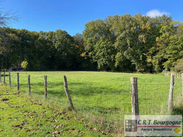 Vente Maison propriété 8 pièces 240 m² Toucy 89130