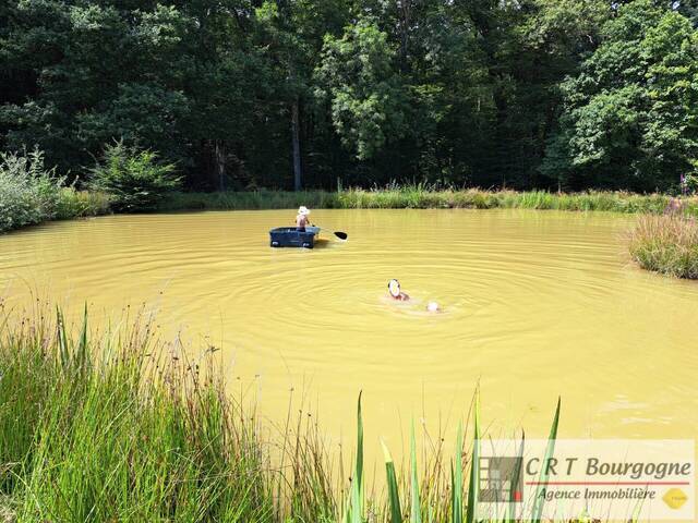 Vente Maison propriété 8 pièces 240 m² Toucy 89130