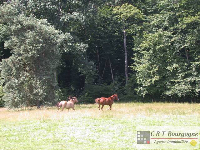 Vente Maison propriété 8 pièces 240 m² Toucy 89130