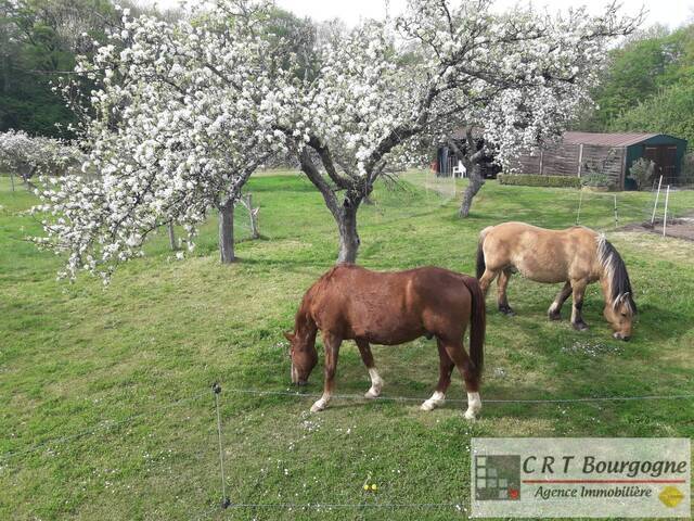 Vente Maison propriété 8 pièces 240 m² Toucy 89130