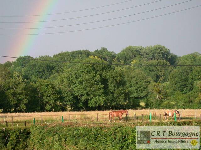 Vente Maison propriété 8 pièces 240 m² Toucy 89130