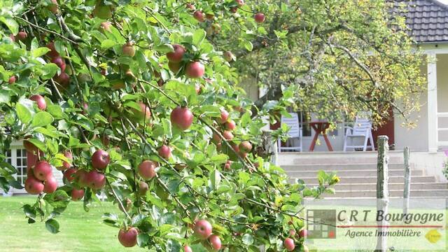 Vente Maison propriété 8 pièces 240 m² Toucy 89130