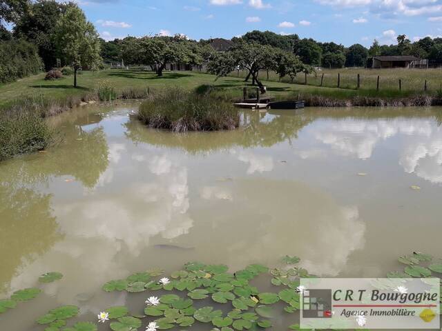 Vente Maison propriété 8 pièces 240 m² Toucy 89130