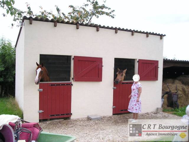 Vente Maison propriété 8 pièces 240 m² Toucy 89130