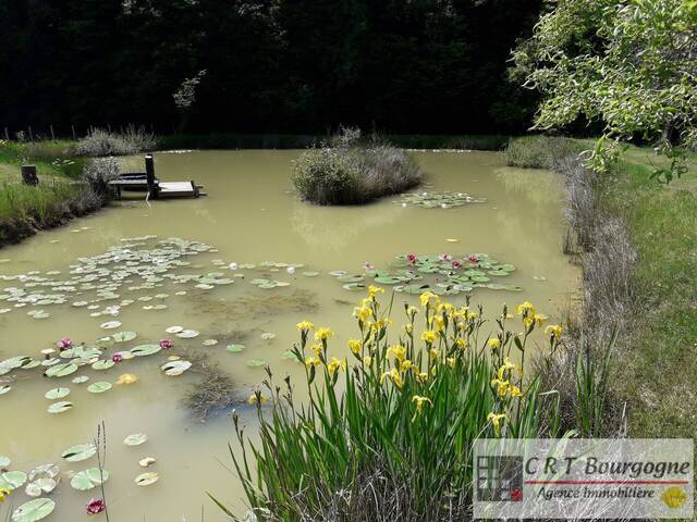 Vente Maison propriété 8 pièces 240 m² Toucy 89130