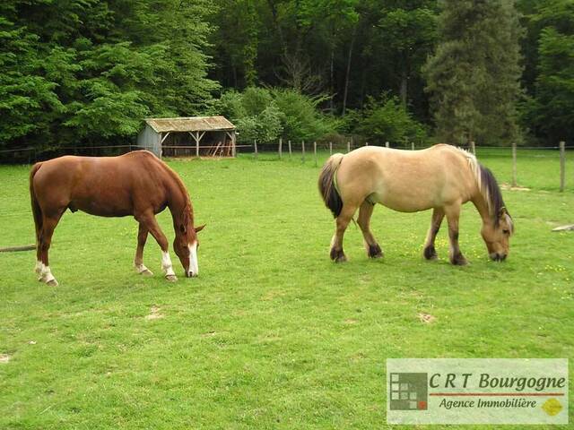 Vente Maison propriété 8 pièces 240 m² Toucy 89130