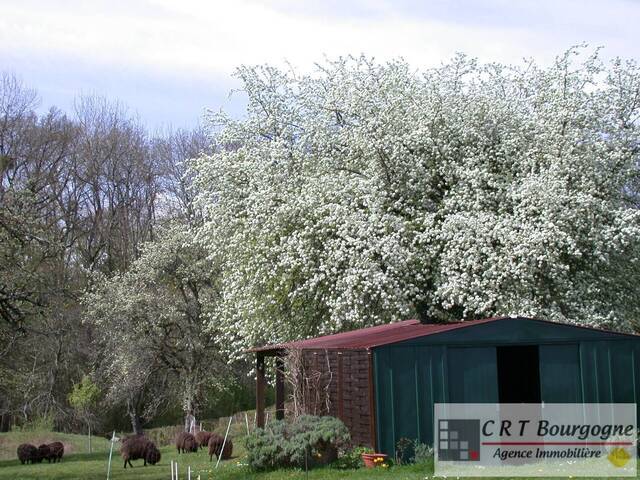 Vente Maison propriété 8 pièces 240 m² Toucy 89130