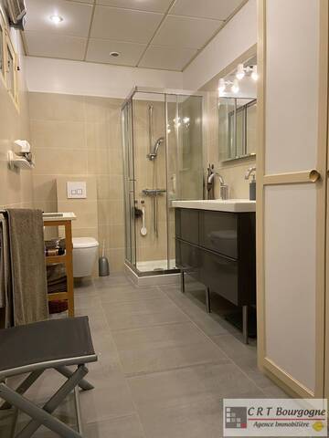 Vente Maison propriété 8 pièces 240 m² Toucy 89130