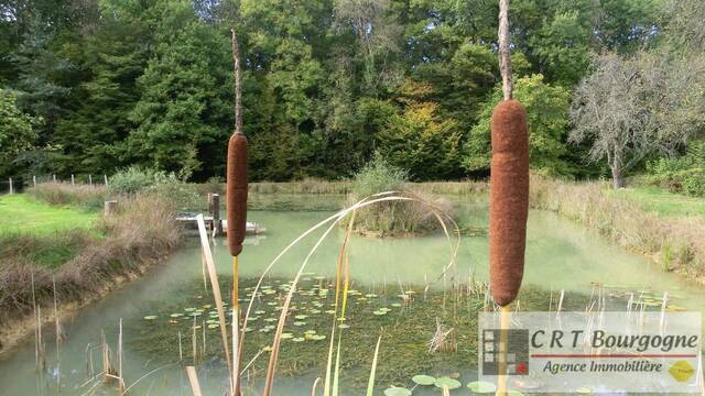 Vente Maison propriété 8 pièces 240 m² Toucy 89130