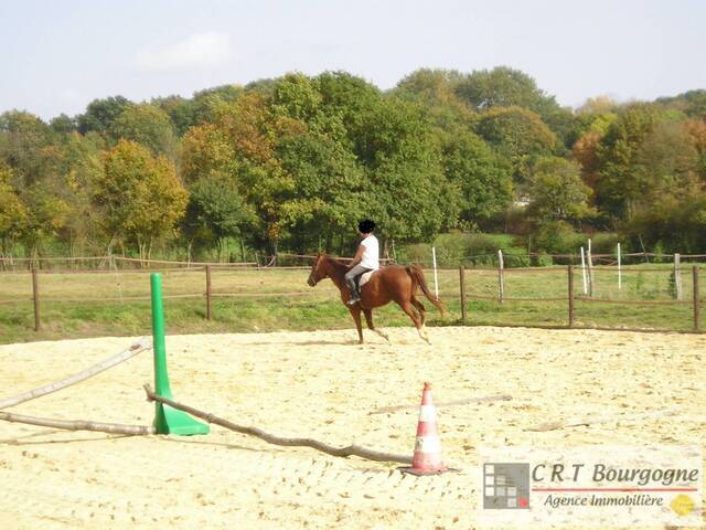 Vente Maison propriété 8 pièces 240 m² Toucy 89130