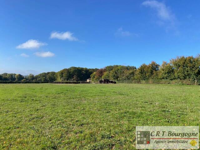 Vente Maison propriété 8 pièces 240 m² Toucy 89130