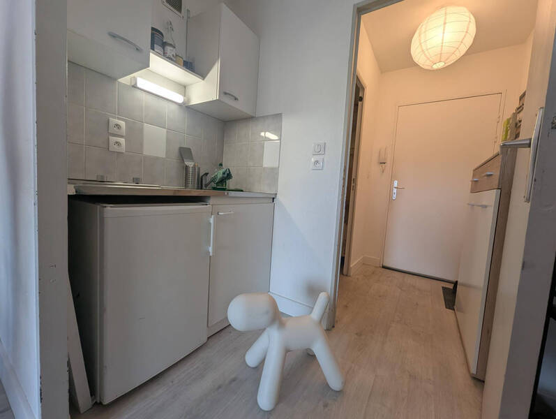 Location appartement 1 pièce 21.48 m² à Aubière 63170 - 390 €