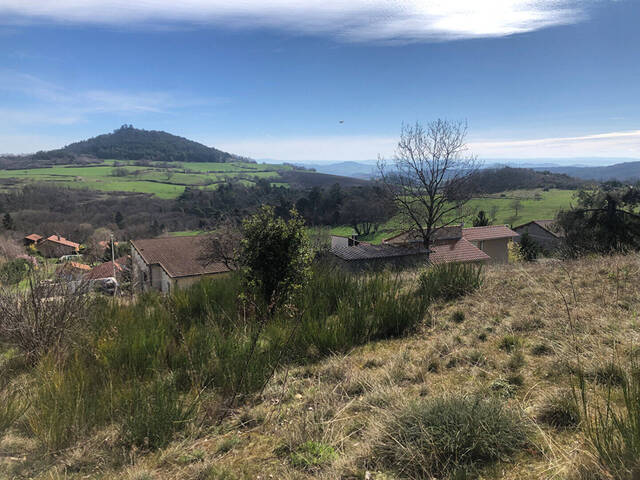 Vente Terrain 1000 m² Chanonat 63450