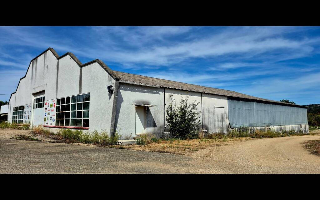 Vente Local industriel/entrepôt Coligny 01270