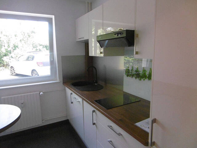 Location Appartement 1 pièce 30.27 m² Riedisheim (68400)