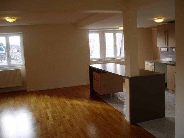 Location appartement 5 pièces 144.7 m² à Mulhouse (68100)