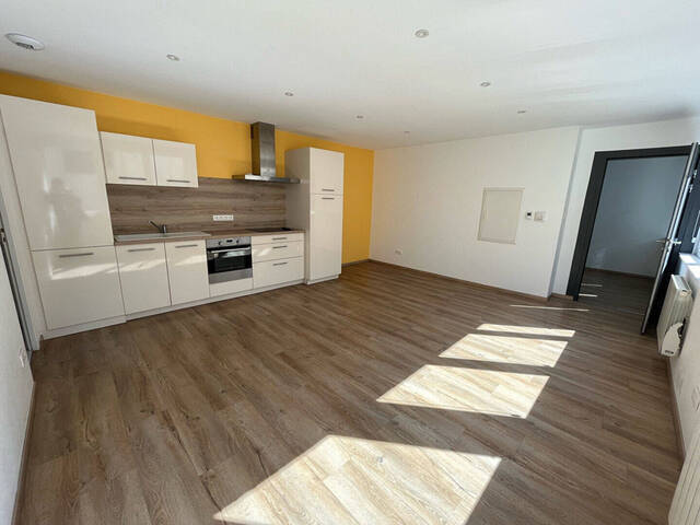 Location Appartement 2 pièces 45 m² Strasbourg (67000)