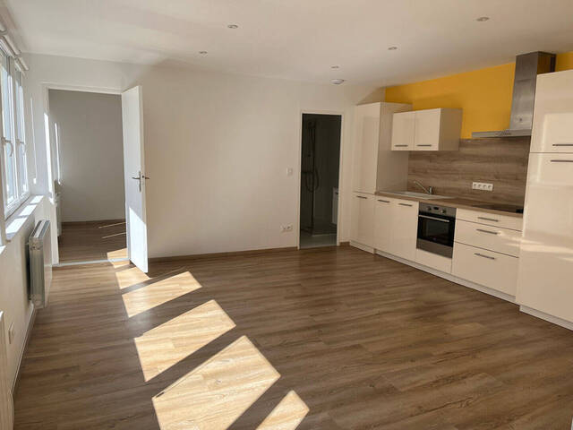 Vente Appartement 2 pièces 45 m² Strasbourg (67000)