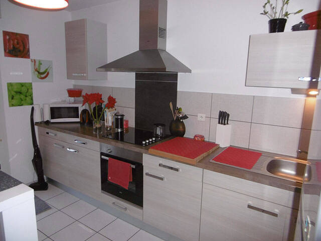 Location Appartement 2 pièces 59.68 m² Lutterbach (68460)