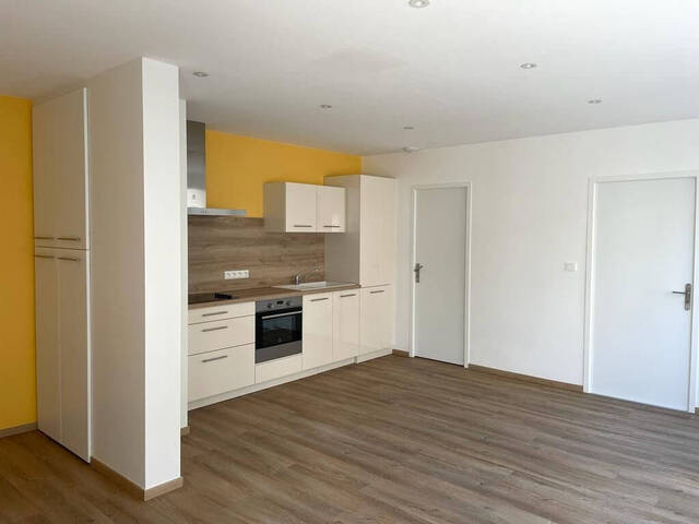 Location Appartement 3 pièces 53 m² Strasbourg (67000)