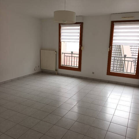 Location Appartement 2 pièces 55.76 m² Mulhouse (68100)